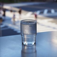 春のせい / 橋本絵莉子