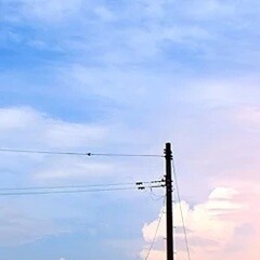 間違いだらけのきみを見せて