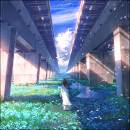 日陰