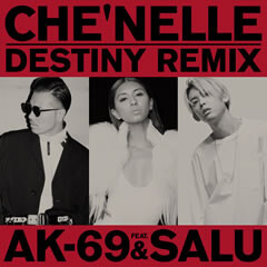 Destiny (Remix) feat. AK-69 & SALU