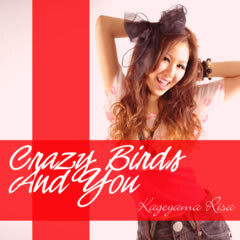 Crazy Birds And You