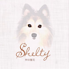 Shelty