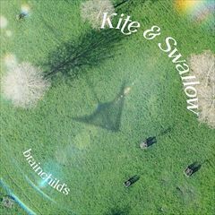 Kite & Swallow