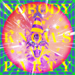 NOBODY KNOWS PARTY feat. 玉屋2060% (Wienners)