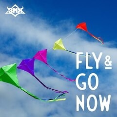 FLY & GO NOW