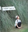 sha la la…