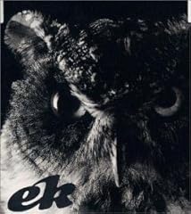 真夜中のヒーロー