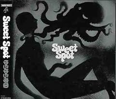 ゆらゆら帝国 名盤 レコード ソフトに死んでいる - メルカリ