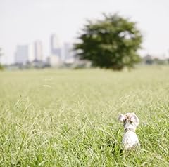 サヨナラBABY