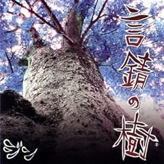 虹周走