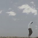 パラダイス