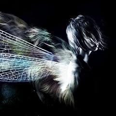 ヒトの音