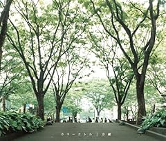 浅い傷