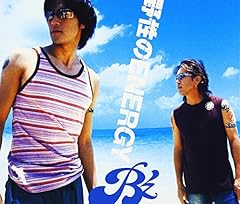 野性のENERGY