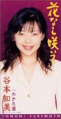 花なら咲いて
