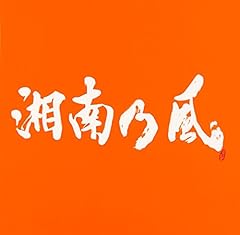 Z ～俺等的逆襲～