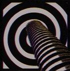 レティクル座の花園