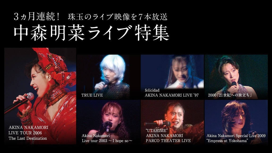 Amazon.co.jp: 中森明菜 パンフレット 1995年 TRUE LIVE : おもちゃ