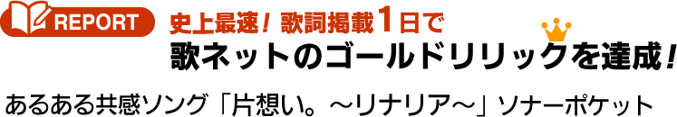 特集 史上最速で歌ネットのゴールドリリックを達成 片想い リナリア ソナーポケット 歌ネット