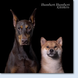 ジャケット画像2